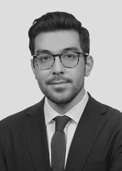 ahmet-ergi1